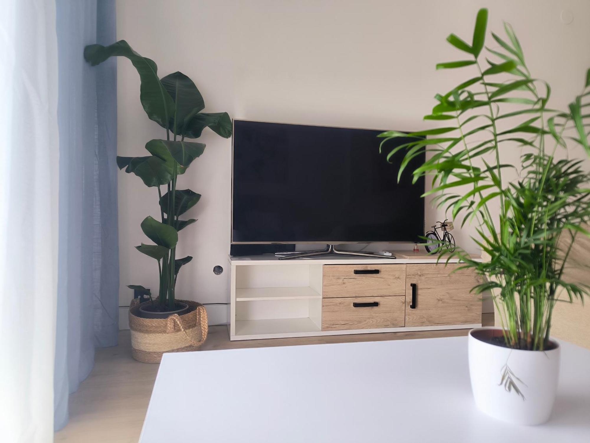 Apartment San Gonzalo